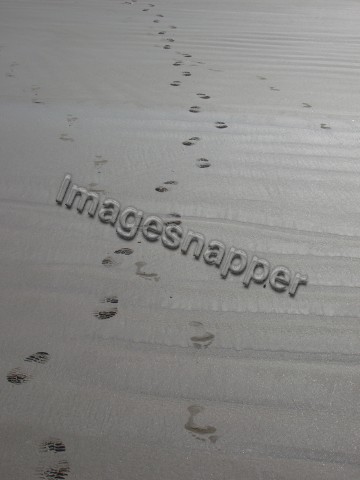 Footsteps