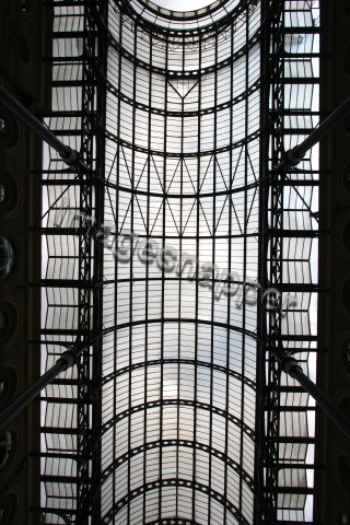 Hayes Gallery