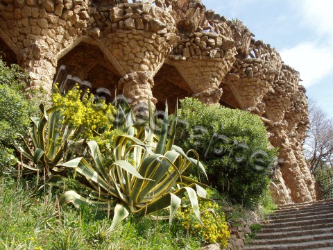 Parc Guell