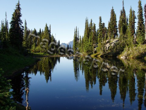 Mount Revelstoke National Park