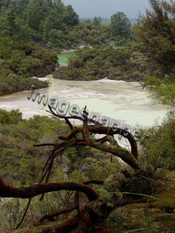 Thermal Wonderland, Rotorua, New Zealand