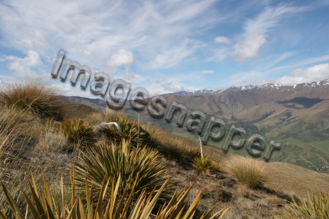 Pisa Range, NZ