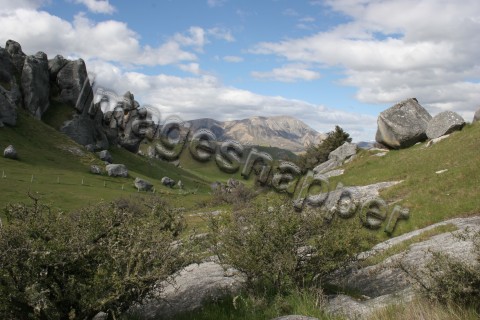 Kura Tawhiti, NZ