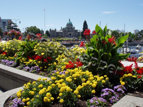 Victoria