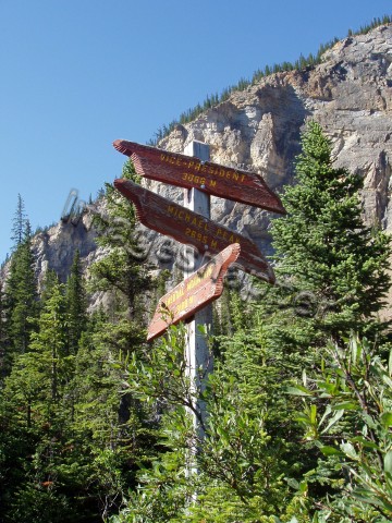 Takakkaw signs