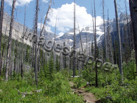 Mount Stanley