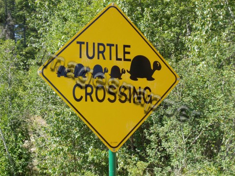 Creston
