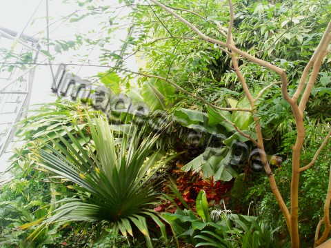 Eden Project