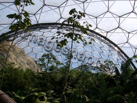Eden Project