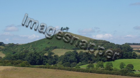 Dorset View