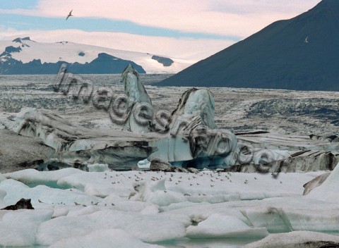 Jokulsarlon