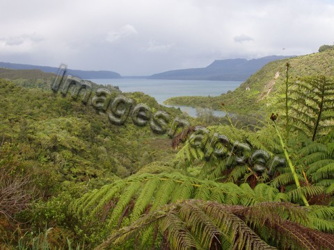 Coromandel Peninsula