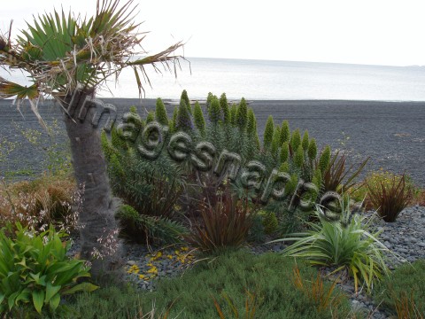 Napier Beach