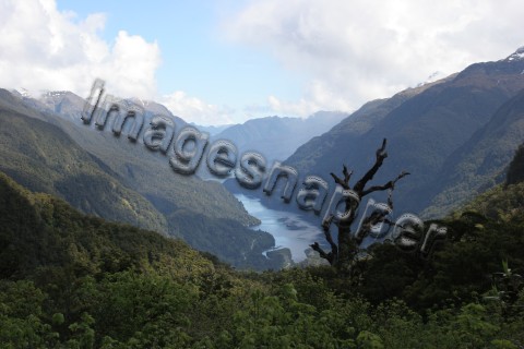 Doubtful Sound