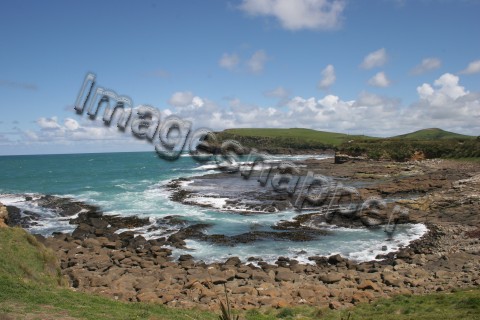 Curio Bay