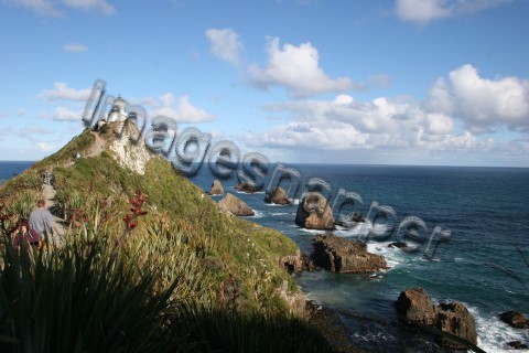 Nugget Point