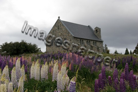 Church of the Good Shepherd