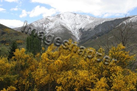 Southern Alps