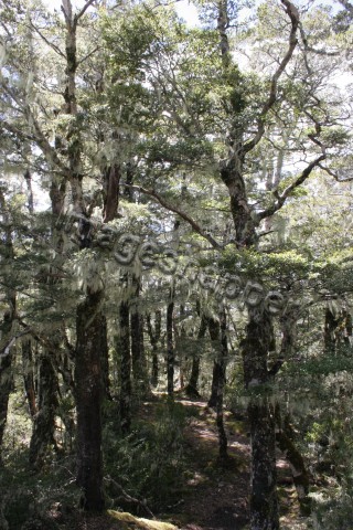 St James Walkway