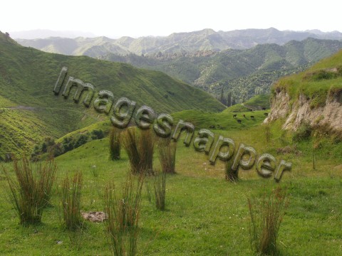 Waitomo Region