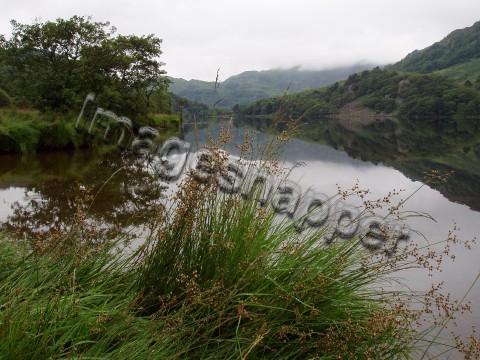 Snowdonia