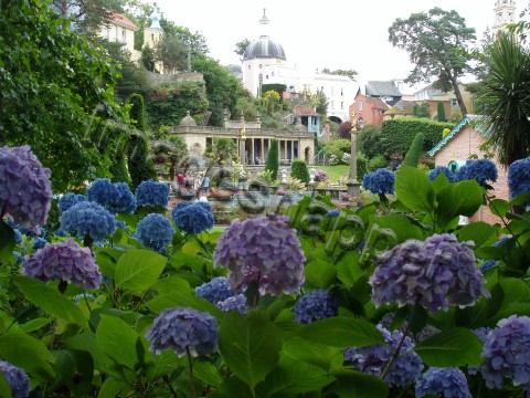 Portmeirion