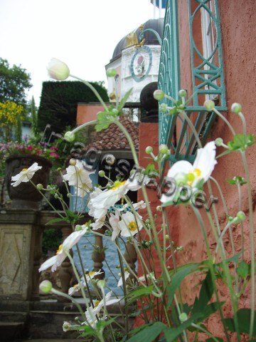 Portmeirion